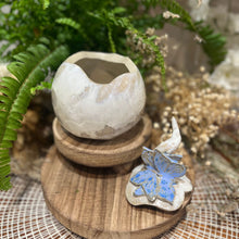 Charger l'image dans la galerie, Boîte à bijoux ou Sucrier Bel Argus