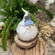 Charger l'image dans la galerie, Boîte à bijoux ou Sucrier Bel Argus