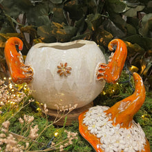 Charger l'image dans la galerie, Jardinière Magique