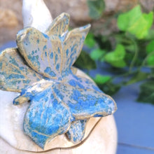 Charger l'image dans la galerie, Boîte à bijoux ou Sucrier Bel Argus