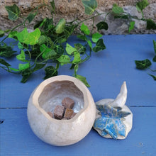 Charger l'image dans la galerie, Boîte à bijoux ou Sucrier Bel Argus