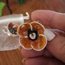Charger l'image dans la galerie, Boucles d'Oreilles Poppy Oranges