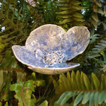 Charger l'image dans la galerie, Grande Pensée Bleutée