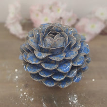 Charger l'image dans la galerie, Hortenciel