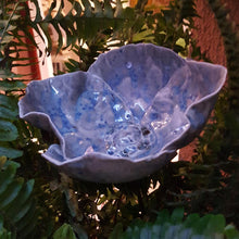 Charger l'image dans la galerie, Grande Pensée Bleutée