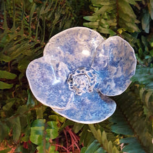 Charger l'image dans la galerie, Grande Pensée Bleutée