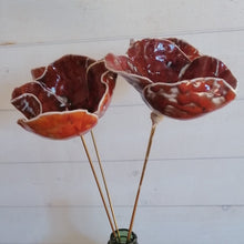 Charger l'image dans la galerie, Grand Coquelicot Porcelaine