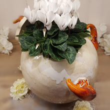 Charger l'image dans la galerie, Jardinière Magique