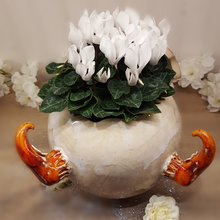 Charger l'image dans la galerie, Jardinière Magique