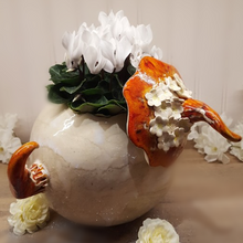 Charger l'image dans la galerie, Jardinière Magique