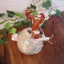 Charger l'image dans la galerie, Nichoir Sorcière